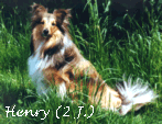 Henry im Alter von 2 Jahren - auch hier fehlt noch eine GROSSE Bilddatei