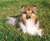 Henry mit 3 Jahren